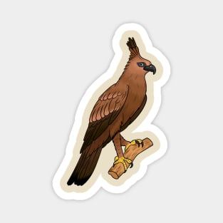 Javan hawk eagle bird cartoon illustration Magnet