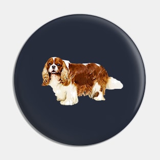 Cavalier king charles spaniel Pin