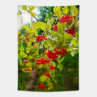 Hawthorn Tapestry