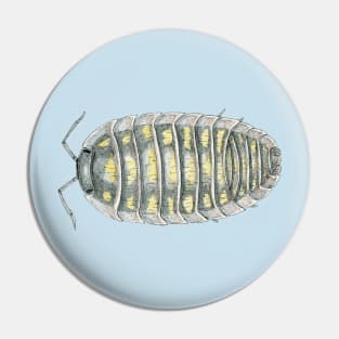 Armadillidium depressum Isopod Pin