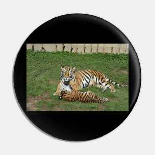 Tiger Mother and Cub Pin