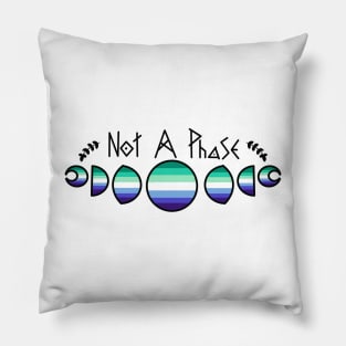 Not a phase- MLM Pillow