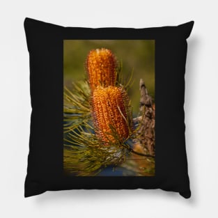 Banksia II Pillow