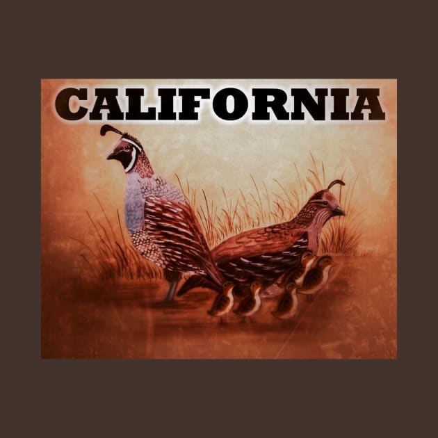 California Quail by Matt Starr Fine Art