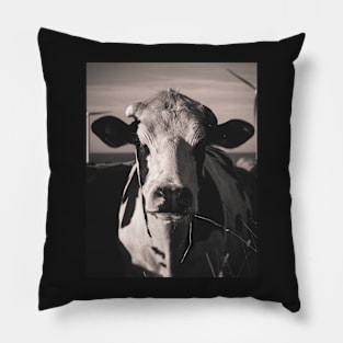 Cow! Pillow