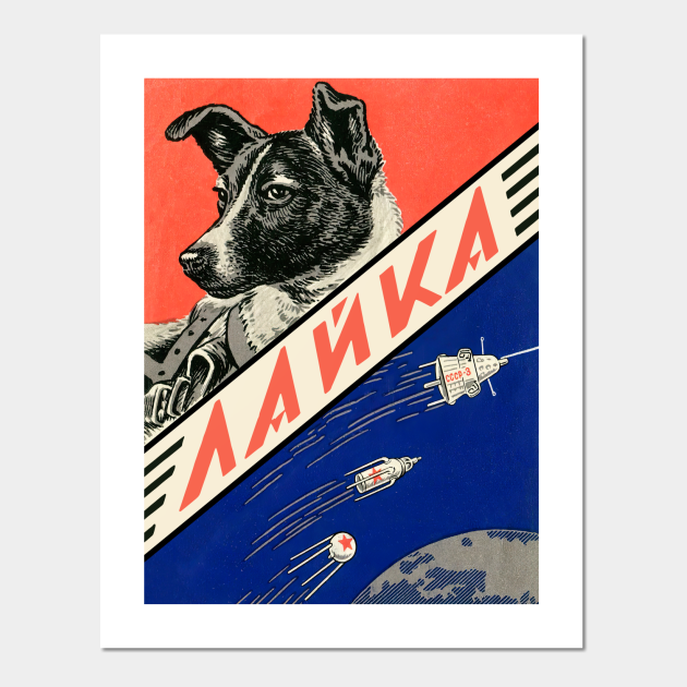 Laika, first space dog — Soviet vintage space poster - Laika - Posters and Art Prints | TeePublic Laika, first space dog — Soviet vintage space poster - Laika - Posters and Art Prints | TeePublic