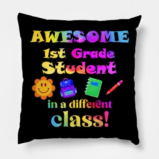 Awesome First Grade Student in a different class! Pillow