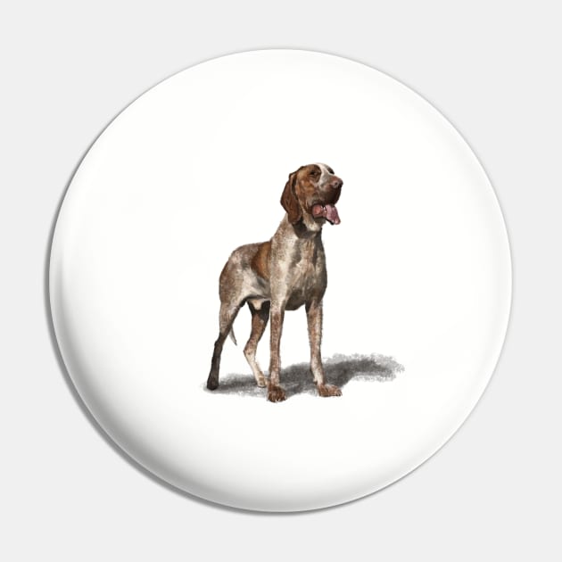 The Bracco Italiano Pin by Elspeth Rose Design