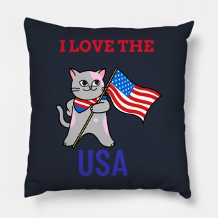 I love the USA Pillow