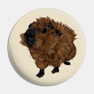 Nice Artwork showing a californian-colored Abyssinian Guinea Pig II Pin