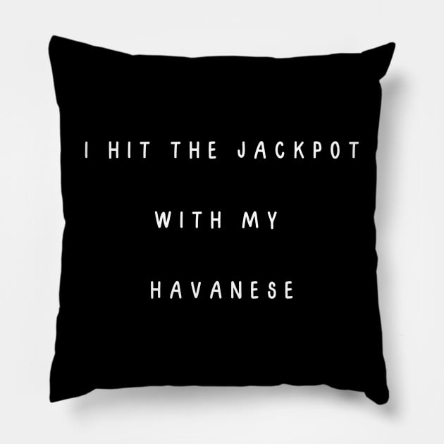 I hit the jackpot with my Havanese Pillow by Project Charlie