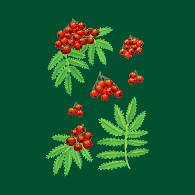 Rowan Berry in Gouache by paintedpansy