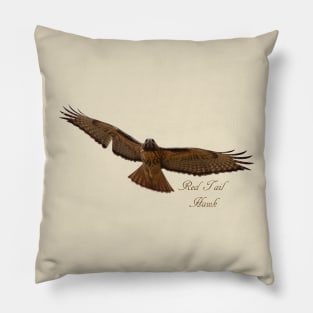 Red Tail Hawk Pillow