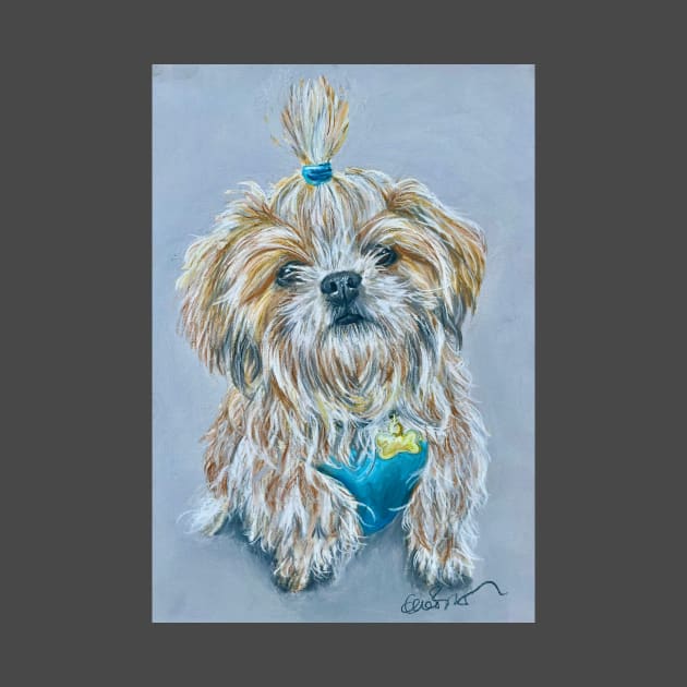 Shih Tzu with a ponytail by Merlinsmates