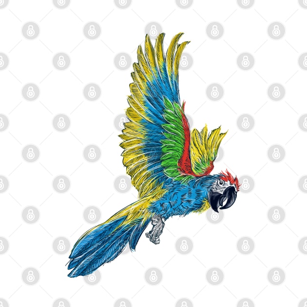 Macaw Parrot by Dual Rogue