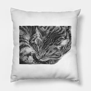 Tabby Cat Pillow