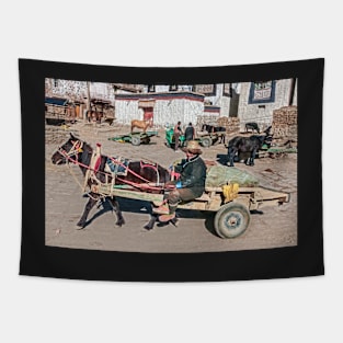 Farmer. Gyantse, Tibet. Tapestry