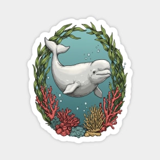 Beluga Whale Coral Reef Vintage Ocean Art Magnet