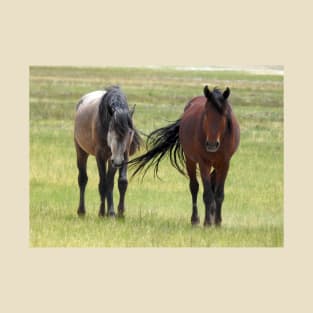 Wild horses, wildlife, gifts, California, True Beauty T-Shirt