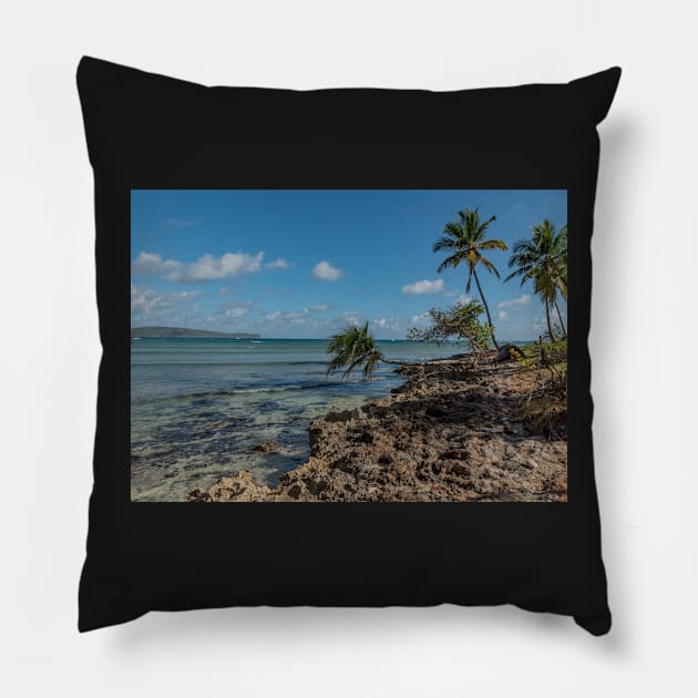 Rocky Beach Pillow by Photomisak72