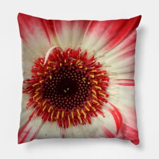 Flower eye Pillow