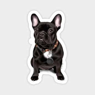 Frenchie Magnet