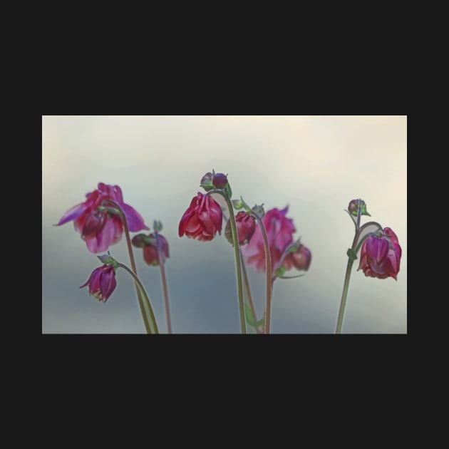 Columbines in the Mist by EileenMcVey