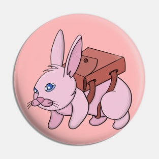 Bunny going to school Pin