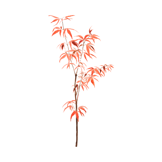 red Japanese dwarf maple tree watercolor by colorandcolor