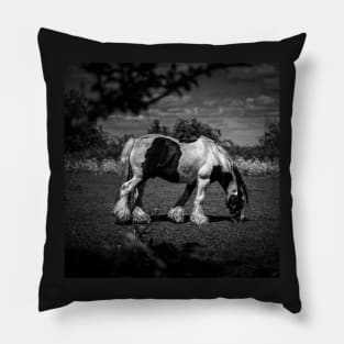 Grazing Black And White Horse Pillow