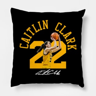 CC 22 Pillow