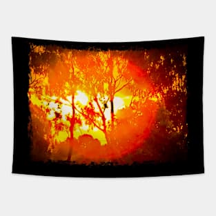 Summer sunset Tapestry