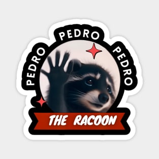 Dancing Racoon Pedro Pedro Dancing Racoon Meme Magnet