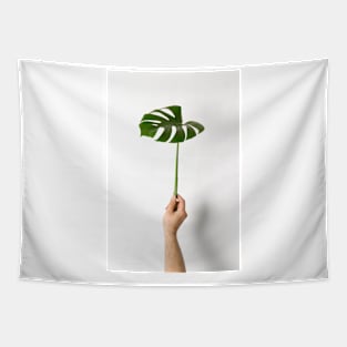 Minimalistic design Tapestry