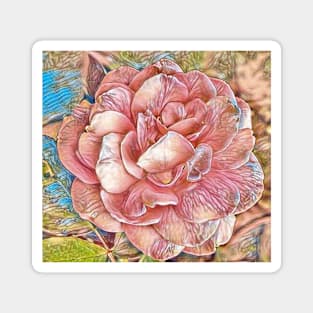 Drawing of pink rose flower Magnet