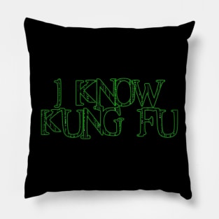 I Know Kung Fu Quote Pillow