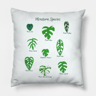 Monstera Species with Labels Pillow