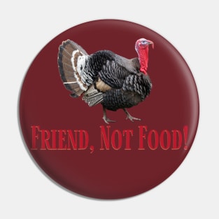 Turkeys Make Great Friends and Friends are NOT Food! Pin