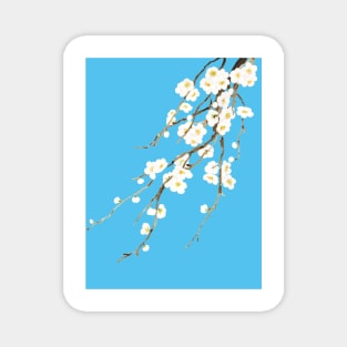 white plum flowers blossom in blue background watercolor Magnet