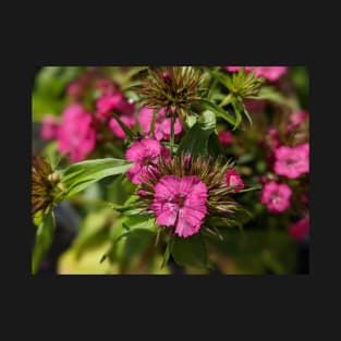 Pink Spiky Flowers T-Shirt