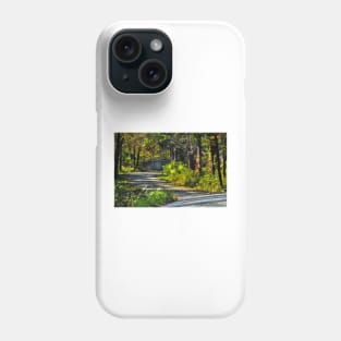 Winding Roads Phone Case