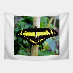 Black and Yellow Butterfly Tapestry