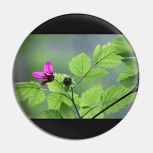 Salmon berry flowers Pin