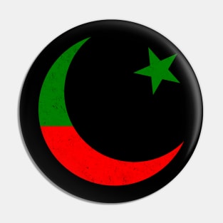 PTI Flag Pin