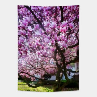 Spring - Magnificant Magnolia Tapestry