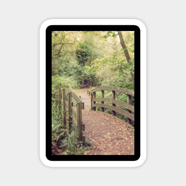 Path to the Bridge Magnet by Debra Cox 