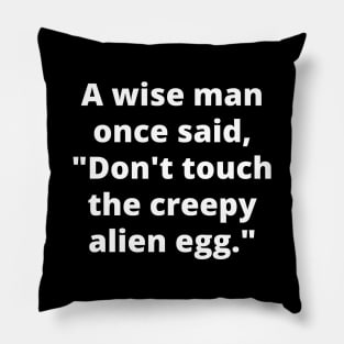 A Wise Man Once Said... Pillow