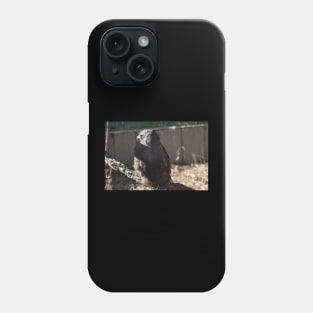 Hawk Phone Case