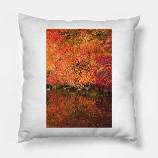 Autumn Foliage at Sheffield Park Pillow