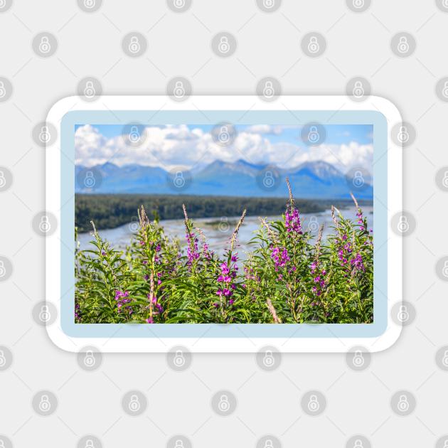 USA. Alaska. Denali National Park. Fireweeds. Magnet by vadim19